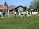 Fără surprize în Superliga Vrancei de fotbal PAAAAA1BMVEWurq51dlI4AAAAAXRSTlMmkutdmwAAAA5JREFUKM9jGAWjYJABAAKUAAHoEAeuAAAAAElFTkSuQmCC
