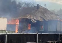 VIDEO Pompieri din cinci județe ajută la stingerea focului la Rucăreni