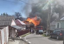 VIDEO Zeci de pompieri se luptă cu flăcările la Rucăreni, unde ard 11 case