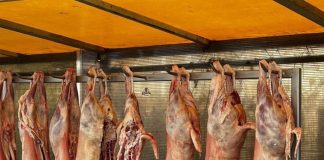 FOTO Nereguli găsite de Protecția Consumatorilor, în această săptămână / Amenzi de peste 6,5 milioane lei, oprire de la comercializare, suspendare de activități