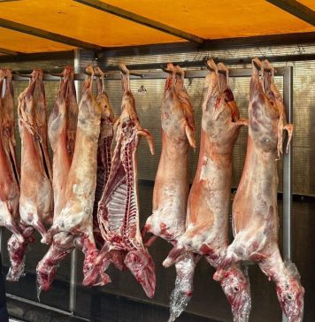 FOTO Nereguli găsite de Protecția Consumatorilor, în această săptămână / Amenzi de peste 6,3 milioane lei, oprire de la comercializare, suspendare de activități