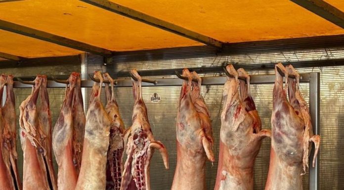 FOTO Nereguli găsite de Protecția Consumatorilor, în această săptămână / Amenzi de peste 6,3 milioane lei, oprire de la comercializare, suspendare de activități