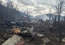 Guvernul va ajuta familiile din Soveja cărora focul le-a distrus casele