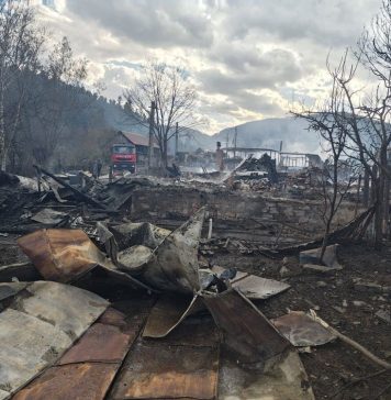 Guvernul va ajuta familiile din Soveja cărora focul le-a distrus casele