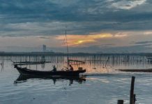 Cum protejăm firele textile subțiri folosind o mulinetă spinning de calitate