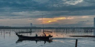 Cum protejăm firele textile subțiri folosind o mulinetă spinning de calitate