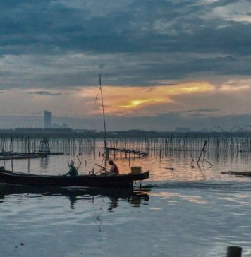 Cum protejăm firele textile subțiri folosind o mulinetă spinning de calitate