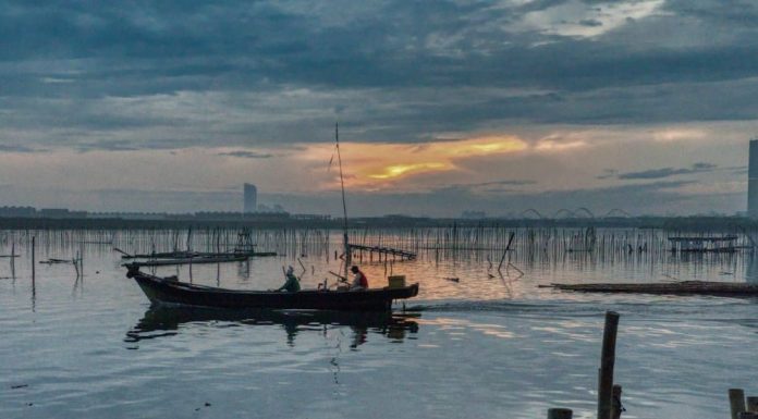 Cum protejăm firele textile subțiri folosind o mulinetă spinning de calitate