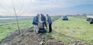 FOTO Acțiune de împădurire în Lunca Siretului