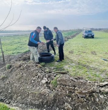 FOTO Acțiune de împădurire în Lunca Siretului