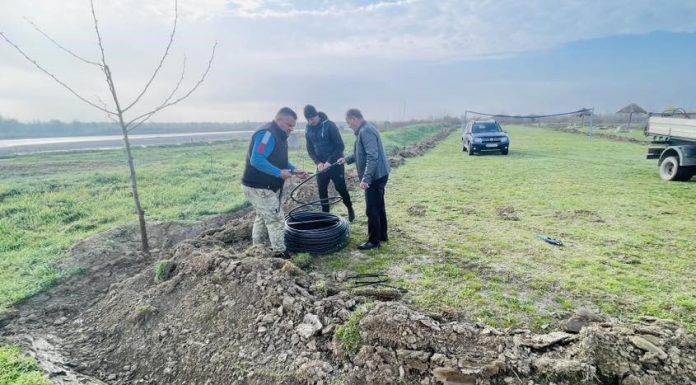 FOTO Acțiune de împădurire în Lunca Siretului