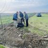 plantare lunca siret 3