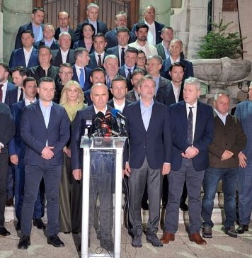 PNL propune un moratoriu în Parlament pentru ca România să nu piardă investițiile din fonduri europene / Liberalii nu mai vor guvernare cu PSD