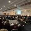 pnl diaspora dublin 1