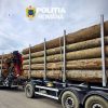 politie lemne
