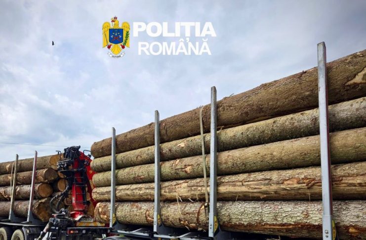 Controale la firmele din sectorul silvic: amenzi și confiscări de lemne
