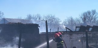 Bovine, porci și găini arse de vii în incendiul de la Verdea