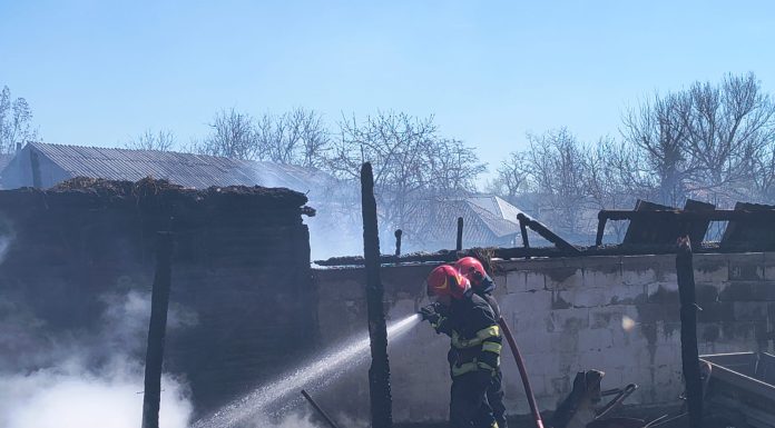Bovine, porci și găini arse de vii în incendiul de la Verdea