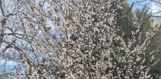 Meteo: vremea se ameliorează în următoarea perioadă