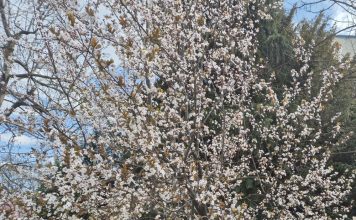 Meteo: vremea se ameliorează în următoarea perioadă