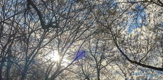 Meteo: de mâine se strică vremea