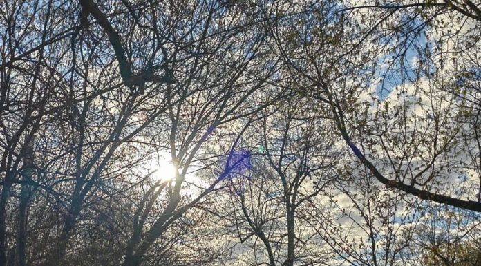 Meteo: de mâine se strică vremea