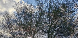 Meteo: vreme rece în următoarele zile, inclusiv în minivacanța de 1 Mai