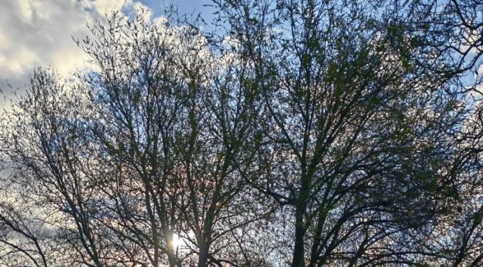 Meteo: vreme rece în următoarele zile, inclusiv în minivacanța de 1 Mai