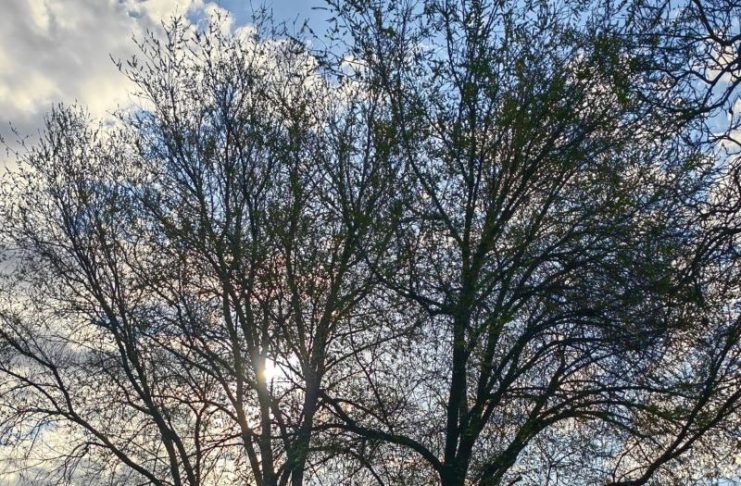 Meteo: vreme rece în următoarele zile, inclusiv în minivacanța de 1 Mai