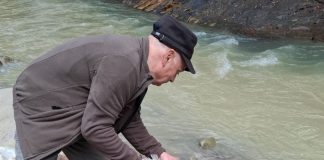 FOTO Repopulare cu 20.000 de puieți de păstrăv în apele din Parcul Natural Putna Vrancea