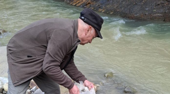 FOTO Repopulare cu 20.000 de puieți de păstrăv în apele din Parcul Natural Putna Vrancea