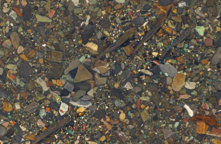 VIDEO Repopulare cu păstrăv în Parcul Natural Putna Vrancea, de Ziua Pământului