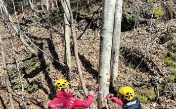 Cheile Tișiței, pregătite pentru întâmpinarea turiștilor în minivacanța de Paști