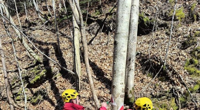 Cheile Tișiței, pregătite pentru întâmpinarea turiștilor în minivacanța de Paști