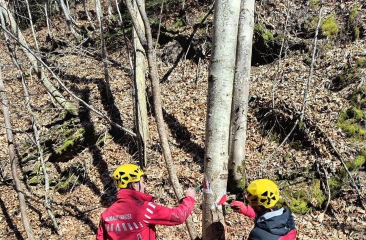 Cheile Tișiței, pregătite pentru întâmpinarea turiștilor în minivacanța de Paști