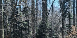 Sfaturile salvamontiștilor vrânceni pentru minivacanța de 1 Mai