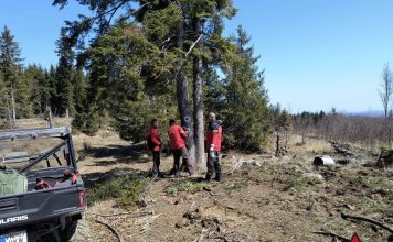 FOTO Lucrări de întreținere pe traseul montan Păulești-Valea Neagră-Nereju