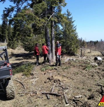 FOTO Lucrări de întreținere pe traseul montan Păulești-Valea Neagră-Nereju