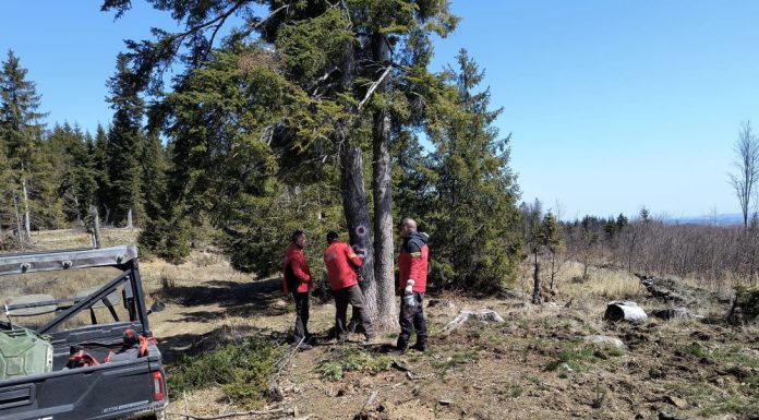 FOTO Lucrări de întreținere pe traseul montan Păulești-Valea Neagră-Nereju