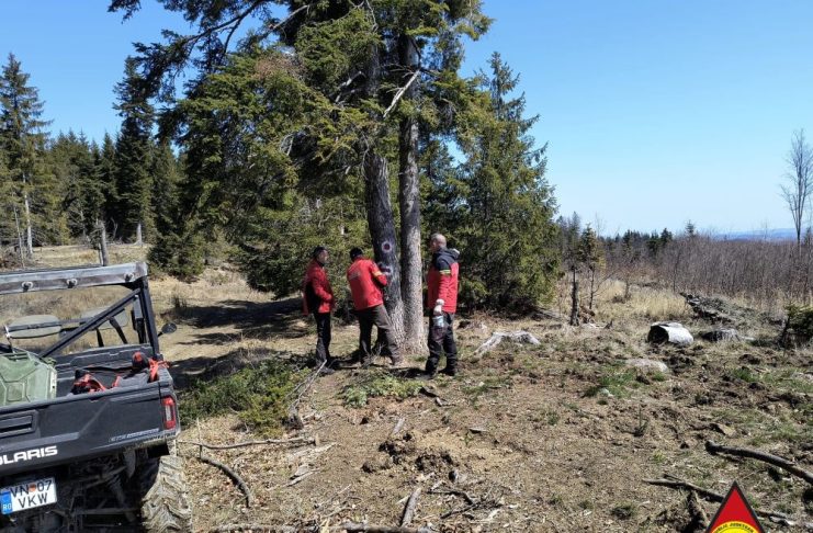 FOTO Lucrări de întreținere pe traseul montan Păulești-Valea Neagră-Nereju