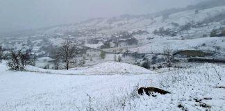 FOTO A nins și în Vrancea, la sfârșit de aprilie