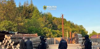 Percheziții într-un dosar de infracțiuni silvice