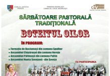 afis boteit