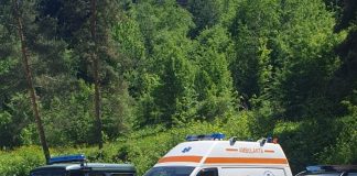 Bărbatul mort în pădure a fost lovit de un copac / Echipajele de intervenție au ajuns foarte greu în zonă
