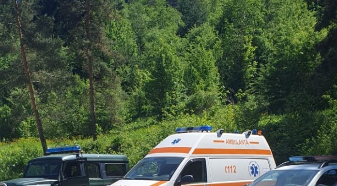 Bărbatul mort în pădure a fost lovit de un copac / Echipajele de intervenție au ajuns foarte greu în zonă