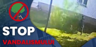 VIDEO Bărbat filmat când se ”lupta” cu un copac, în Focșani