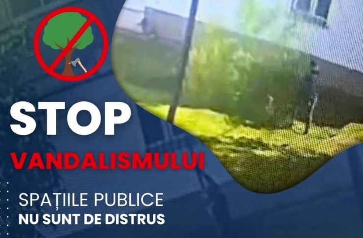 VIDEO Bărbat filmat când se ”lupta” cu un copac, în Focșani