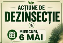 carton desinsectie