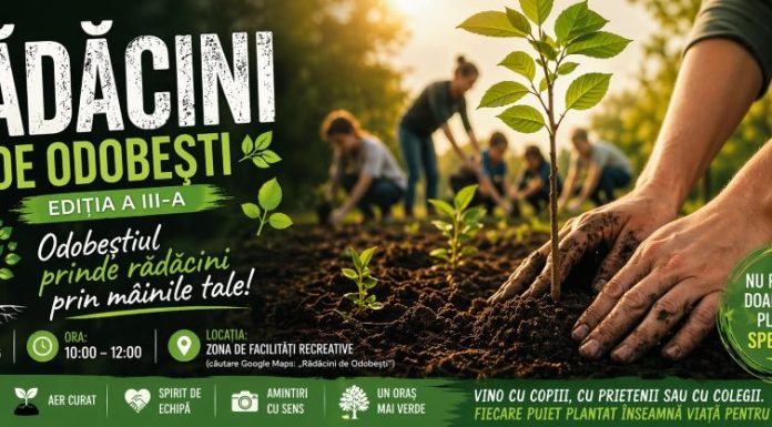 Acțiune de plantare, mâine, în orașul Odobești