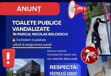 carton toalete parc